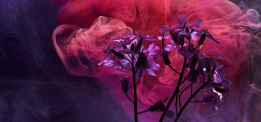 Soyut mor arka planda çiçekler ve suda boyalar. Parfüm ve kozmetik ürünleri için fon