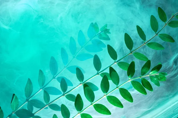 Fundo Verde Abstrato Com Folhas Tintas Água Fundo Para Perfume — Fotografia de Stock