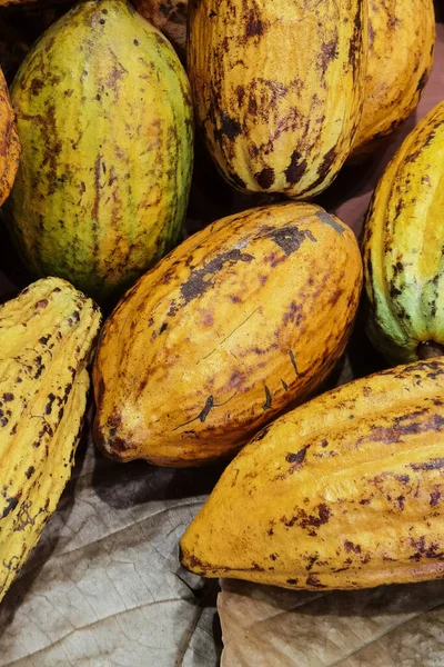 Montón Granos Cacao Fondo Vaina Cacao — Foto de Stock