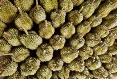 Zemindeki durian meyvesinin en üst görüntüsü 