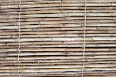 arkaplan için bambu dokusunu kapat                              