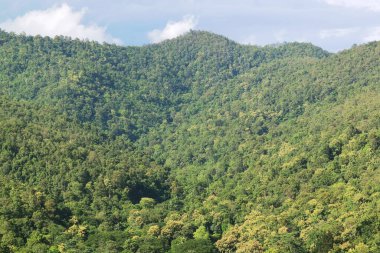 Dağlar manzaralı güzel bir manzara, Tayland 