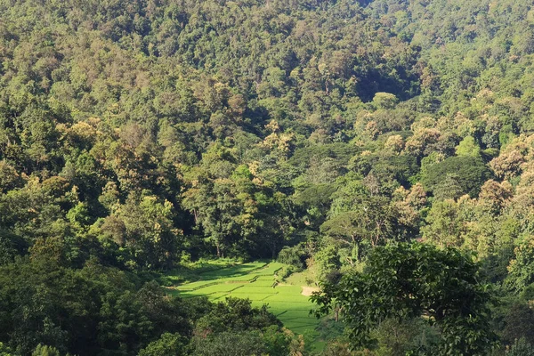 Hermoso Paisaje Con Vistas Las Montañas Tailandia — Foto de Stock