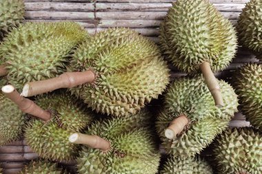 Zemindeki durian meyvesinin en üst görüntüsü 