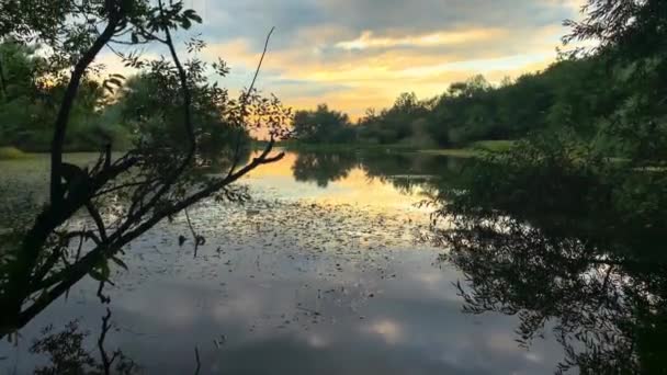 Прекрасний Вид Озеро Лісі Тлі Заходу Сонця — стокове відео
