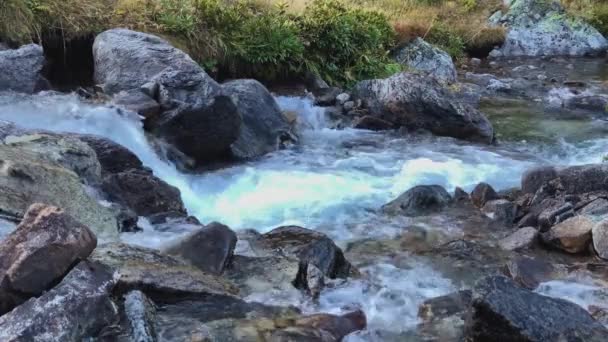 Вид Гірську Річку Чистою Водою Ландшафт Природа Північного Кавказу — стокове відео