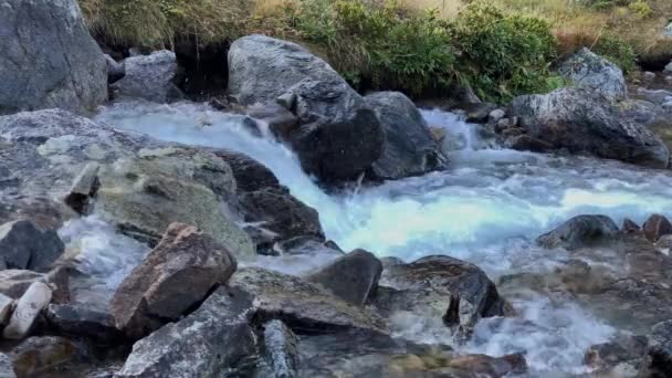 Bergrivier Met Helder Water Landschap Natuur Van Noordelijke Kaukasus — Stockvideo