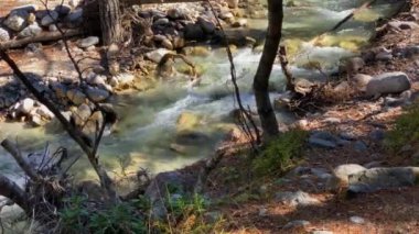 Temiz suyu olan bir dağ nehri manzarası. Kuzey Kafkasya 'nın manzarası ve doğası