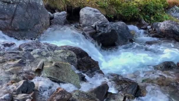 Вид Гірську Річку Чистою Водою Ландшафт Природа Північного Кавказу — стокове відео