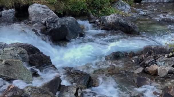 Вид Гірську Річку Чистою Водою Ландшафт Природа Північного Кавказу — стокове відео