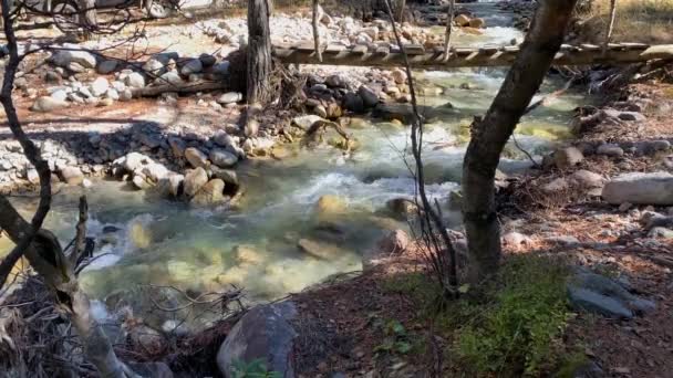 Vista Fiume Montagna Con Acqua Limpida Paesaggio Natura Del Caucaso — Video Stock