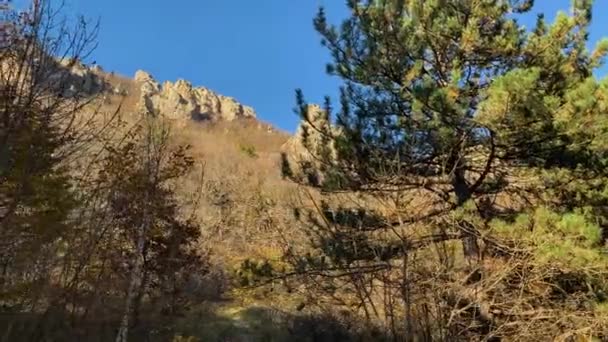 Malownicza Polana Lesie Pod Skałami Górskimi Krajobraz Charakter Północnego Kaukazu — Wideo stockowe