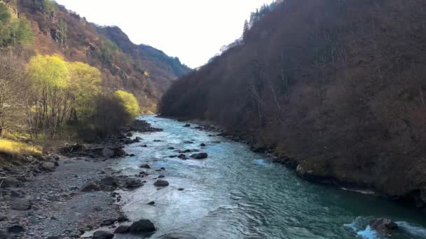 Kilátás Hegyi Folyóra Tiszta Vízzel Észak Kaukázusi Táj Természet — Stock videók