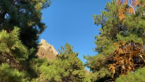 Malownicza Polana Lesie Pod Skałami Górskimi Krajobraz Charakter Północnego Kaukazu — Wideo stockowe