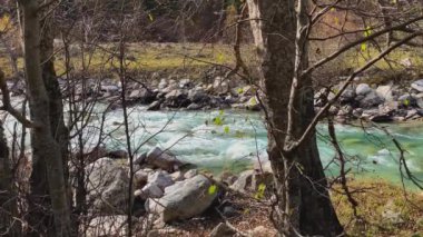 Ormanda temiz su olan dağ nehri. Kuzey Kafkasya 'nın manzarası ve doğası