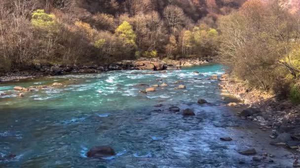 Hegyi Folyó Tiszta Vízzel Erdőben Észak Kaukázusi Táj Természet — Stock videók