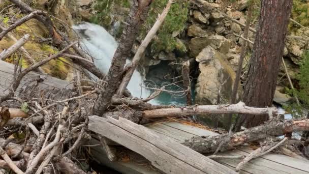 Cascata Montagna Nella Foresta Paesaggio Fauna Selvatica Del Caucaso Settentrionale — Video Stock