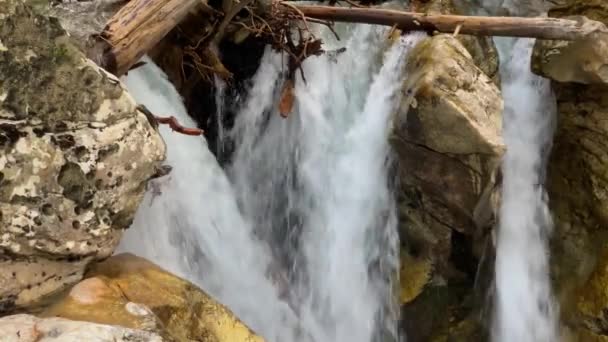 山中瀑布在森林里 北高加索地区的风景和野生动物 在俄罗斯旅行 — 图库视频影像