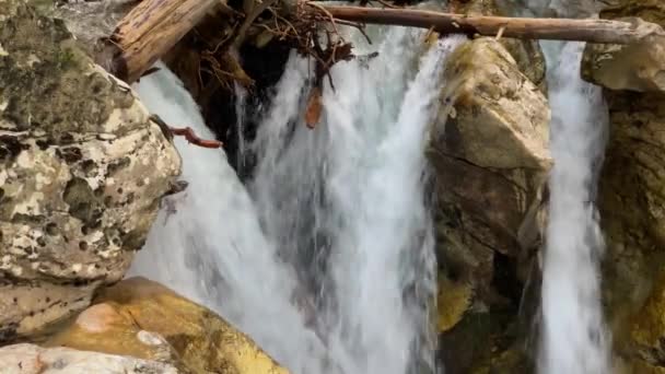 Cascade Montagne Dans Forêt Paysage Faune Caucase Nord Voyager Russie — Video