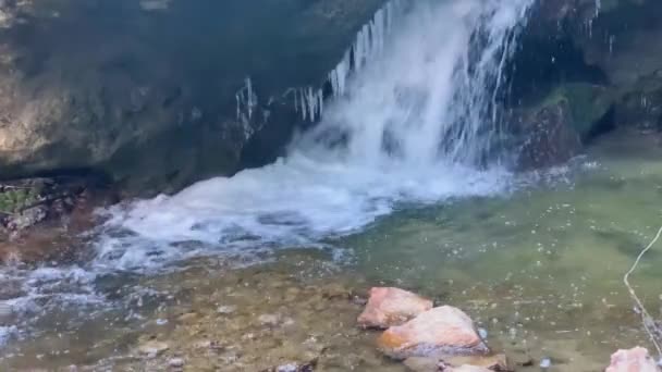 Cascade Montagne Dans Pittoresque Canyon Paysage Faune Caucase Nord Voyager — Video