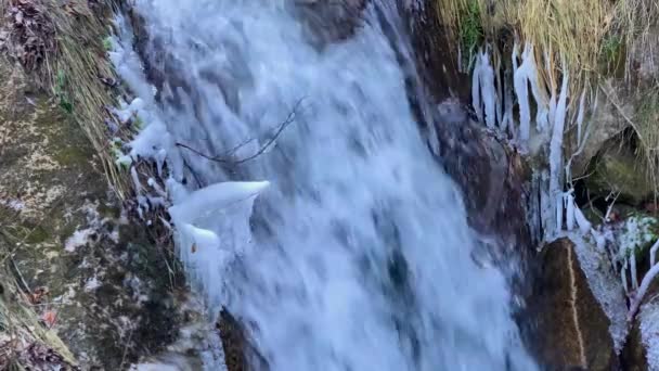 Горный Водопад Живописном Каньоне Пейзаж Дикая Природа Северного Кавказа Путешествие — стоковое видео