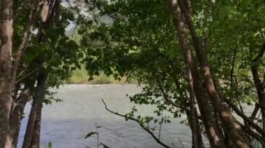 Ormanda temiz su olan dağ nehri. Kuzey Kafkasya 'nın manzarası ve doğası