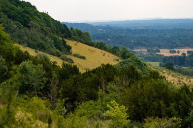 2022 Kuraklık sırasında Box Hill Surrey bayırları
