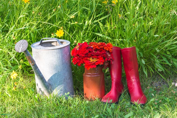 Concetto Giardinaggio Estivo Annaffiatoio Vintage Mazzo Zinnia Rossa — Foto Stock