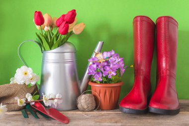 Bahar bahçıvanı konsepti, metalik sulama kutusunda bir sürü kırmızı lale, bahçe malzemeleri.