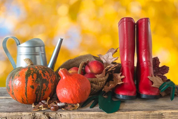 Güz bahçıvanlığı kavramı; kırmızı lastik bot, turuncu balkabağı, sulama kutusu, bahçe aletleri;