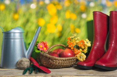 Güzel yaz bahçıvanlığı natürmortluk, metalik sulama kutusu, bahçe malzemeleri.