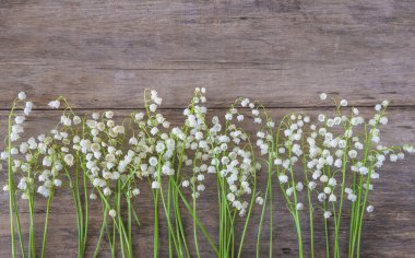 Eski ahşap zemin üzerinde vadi zambakları çerçeve; düz yatıyordu