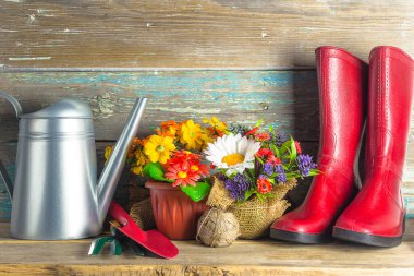 Yaz bahçıvanlığı kavramı; kırmızı lastik bot, çiçekli tencere, kırmızı lastik bot, sulama kutusu, bahçe aletleri. 