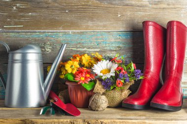 Yaz bahçıvanlığı konsepti; Vintage sulama kutusu, bahçe aletleri, saksıdaki çiçekler, eski ahşap arka plandaki bahçe aletleri