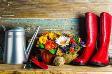 Yaz bahçıvanlığı konsepti; Vintage sulama kutusu, bahçe aletleri, saksıdaki çiçekler, eski ahşap arka plandaki bahçe aletleri