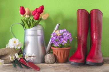 Bahar bahçıvanlığı kavramı; kırmızı lastik bot, metalik sulama kutusunda bir buket lale, saksıda çiçekler ve bahçe aletleri.