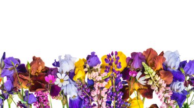 Tatil arkaplanı; beyaz arkaplanda çeşitli yaz çiçeklerinin çerçevesi