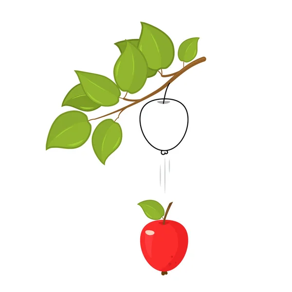 熟したリンゴは重力の力の下で枝から落ちます 白い背景に独立したベクトル図 — ストックベクタ