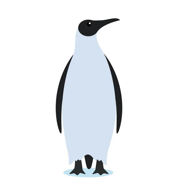 King Penguin Icon Flat Style White Background Antarctic Bird Vector — Stock Vector