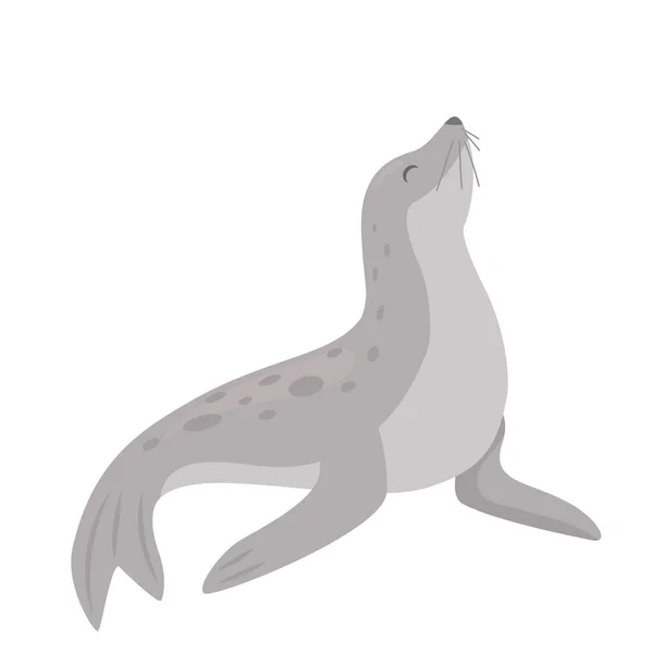 Antarctic Fur Seal Vector Illustration Isolated White Background — Wektor stockowy