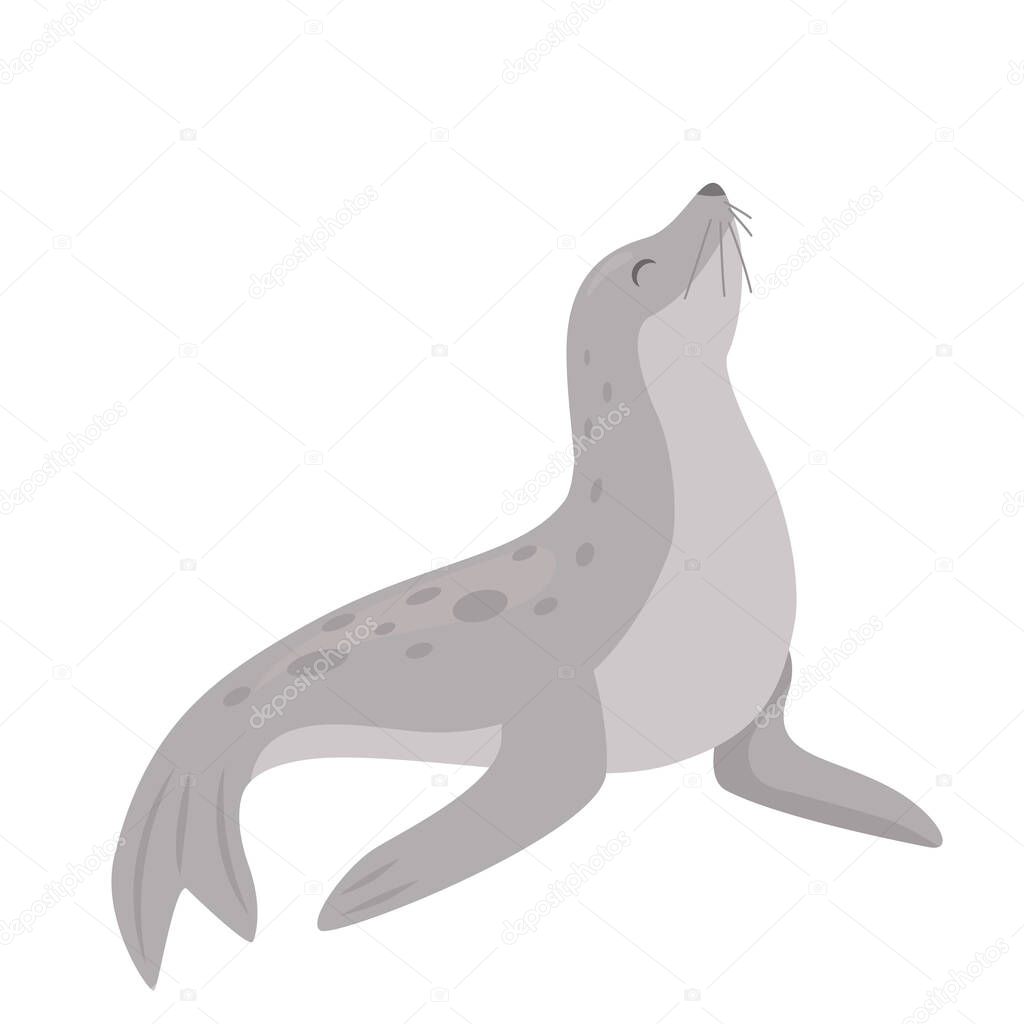 Antarctic Fur Seal.vector illustration isolated on white background