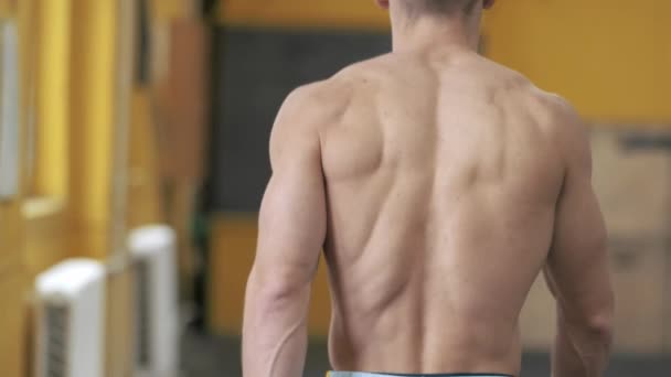 근육질의 선수가 체육관을 걷습니다 뒤에서 얼굴은 스포츠 — 비디오
