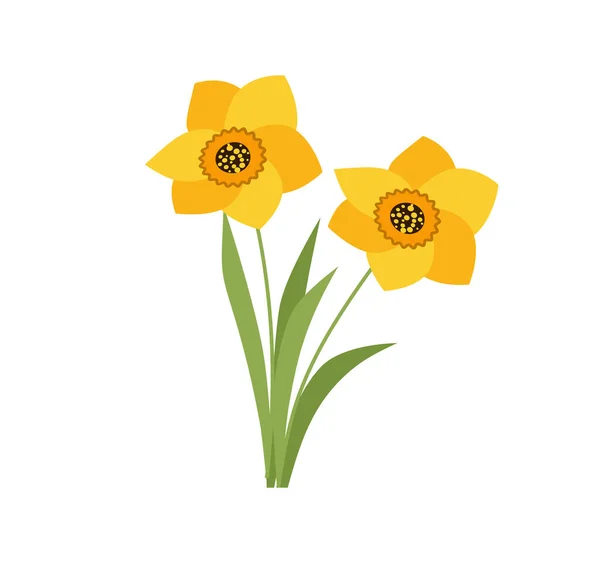 Conjunto Vetorial Narcisos Amarelos Isolados Sobre Fundo Branco Flores Jardim — Vetor de Stock