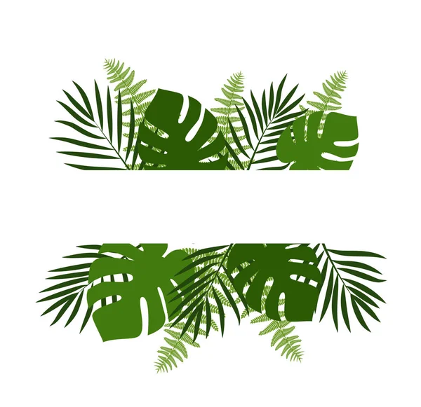 Sfondo Tropicale Estate Verde Con Foglie Palma Esotiche Piante Vettore — Vettoriale Stock