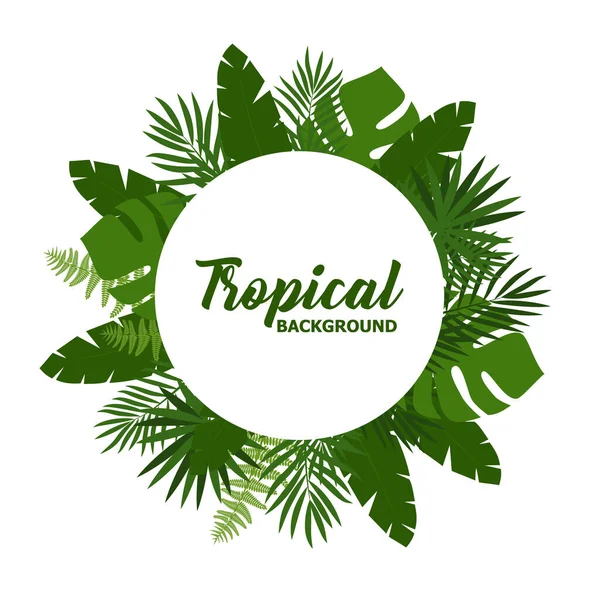 Fundo Tropical Verão Verde Com Folhas Palma Exóticas Plantas Fundo — Vetor de Stock
