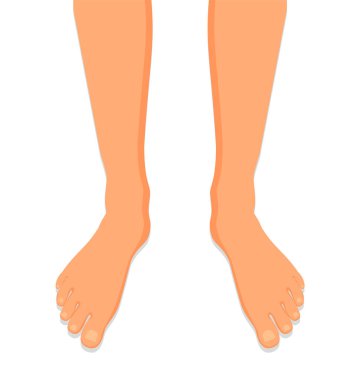 Dişi bacaklar yalın ayak, yan görüş. Zarif çıplak kadın ayakları. Beyaz arkaplanda izole edilmiş vektör illüstrasyonuName