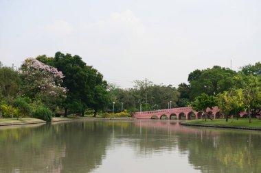 Chatuchak Park 'taki kahverengi balık izleme köprüsü Bangkok, Tayland' da bir parktır.