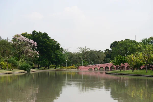 Puente Observación Peces Marrones Chatuchak Park Parque Público Bangkok Tailandia —  Fotos de Stock