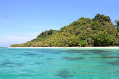 Koh Rok, Tayland 'ın güneyinde, Andaman Denizi' nde bulunan küçük bir takımada. Koh Lanta adasına yakın bir yerde yer almaktadır ve en iyi şnorkelle yüzme noktasıdır, Yengeç, Tayland