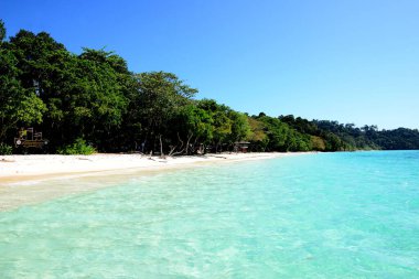 Koh Rok, Tayland 'ın güneyinde, Andaman Denizi' nde bulunan küçük bir takımada. Koh Lanta adasına yakın bir yerde yer almaktadır ve en iyi şnorkelle yüzme noktasıdır, Yengeç, Tayland